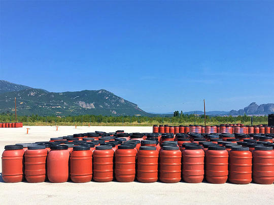 ΕΤΑΙΡΕΙΑ